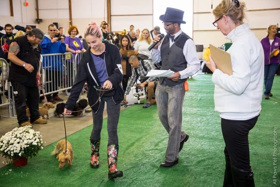 Dachtoberfest